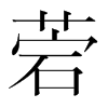 �е��n�������w