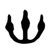 ئ�Ľ���