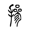 ����С׭