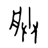 �޵ļ׹���