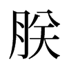 �޵��f����