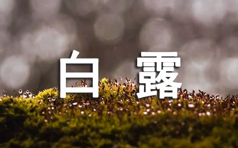 ��¶��(ji��)����L(f��ng)��