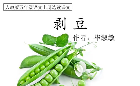 �F(xi��n)������x�}������