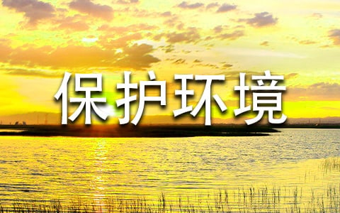 ���o(h��)�h(hu��n)����������l(f��)�Ը壨���x11ƪ��