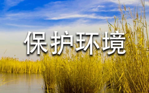 ���o�h(hu��n)���Ľ�(j��ng)��������(bi��o)�Z