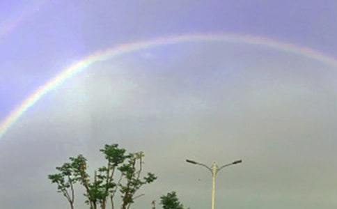 ����Ĳʺ�