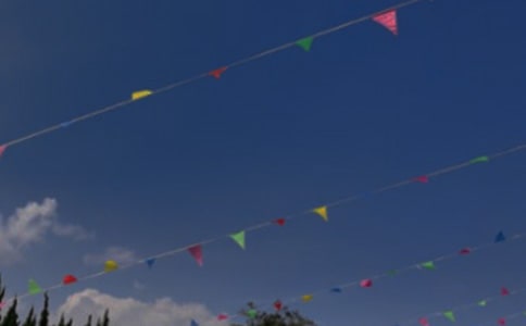 �����Ĳ�������
