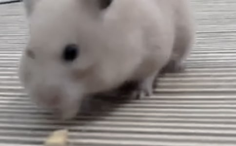�}��С�������꼉��������