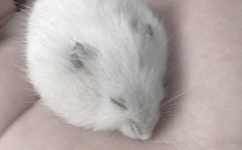 �}��