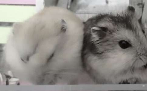 �ɐ۵Ă}������