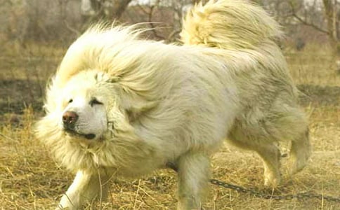 �����x��У����x29ƪ��