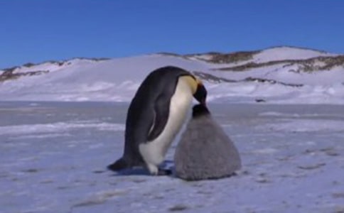 ��Խ�����Đ��x��з���