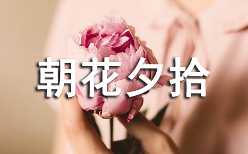 �����W���x����Ϧʰ�и�