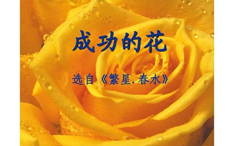 �ɹ��Ļ�