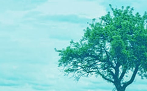 ����һ�ô�����ģ����x21ƪ��