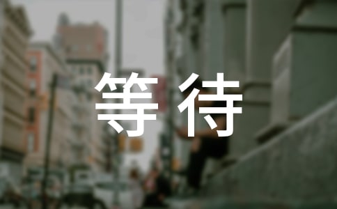 ʮ����ȴ����B(ni��o)��(j��ng)���_(t��i)�~