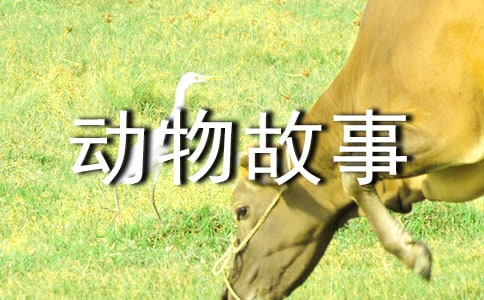 �x�����D��(d��ng)����¡��и�12ƪ