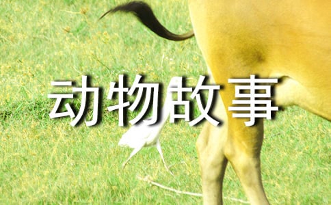 С�W(xu��)����(d��ng)����£��������߲��B(ni��o)�������x10ƪ��