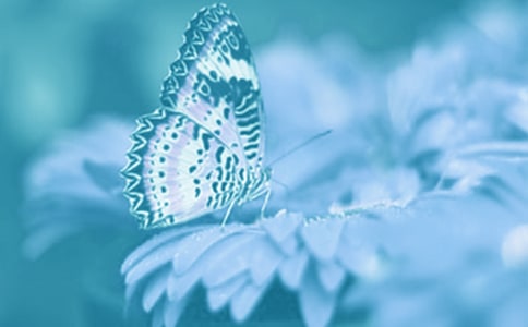 ��(d��ng)ֲ����B�m(x��)�^����ӛ