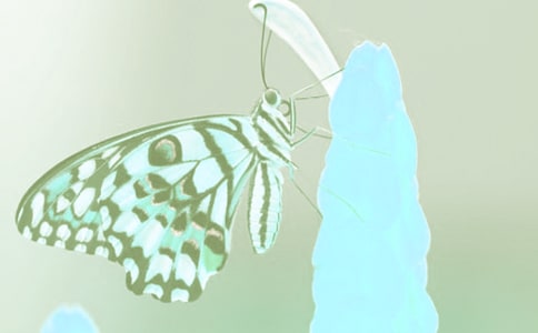 ���꼉��ֲ����^����ӛ�����x27ƪ��