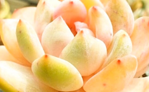 ����С�W(xu��)����