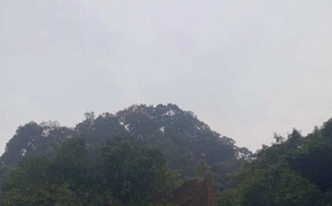 ��üɽ��(d��o)���~����450��
