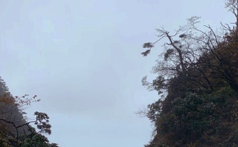 ��üɽ