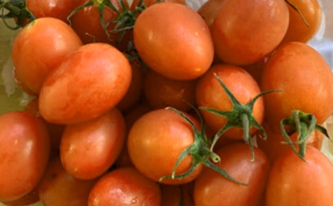 �x����̫�(y��ng)�и�