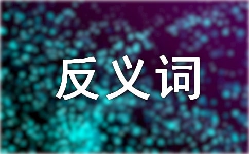 ����ķ��x�~��ʲô