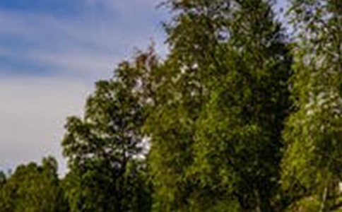 �L����·�����ĳ�һ