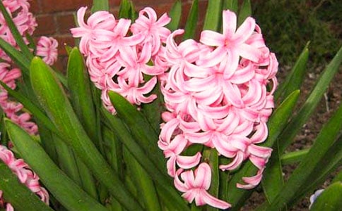 �茑�L(f��ng)���ӵ�����