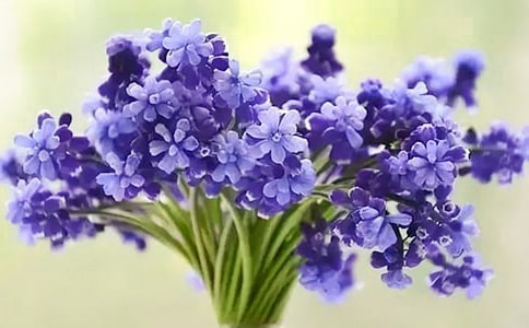 �������L�������ġ��ϼ�15ƪ��