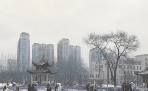 �����L(f��ng)ѩ�����ĳ��Z