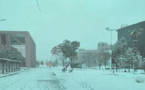 �Lѩ���P(gu��n)�ĳ��Z