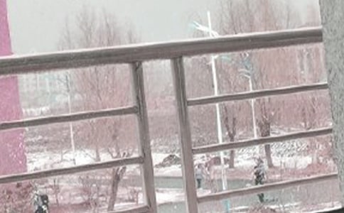 �茑�L(f��ng)ѩ�h��ĳ��Z