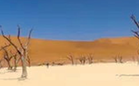 ������λ�Į���͸ɺ��գ����o(h��)��ľ����