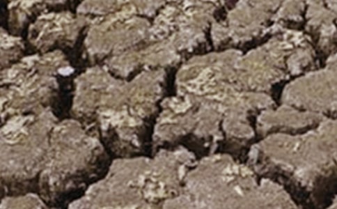 ɳĮ�ܸɺ�����ʲô�����ܻ���ȥ