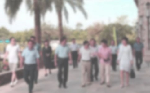���̾־W(w��ng)�Ɍ�����ι������Y(ji��)