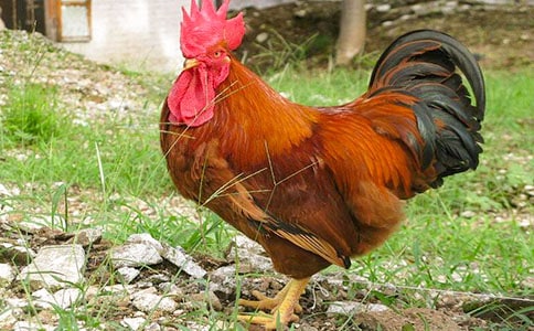 ����Ĵ��u���ģ����x47ƪ��