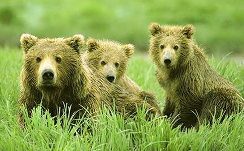 �x�������ĵĹ��ܡ��и�