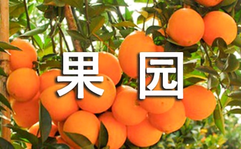 С�W(xu��)����ٹ��@��ӛ���ģ����x18ƪ��