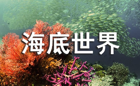 �Z���n�̡��������硷�̌W(xu��)��˼