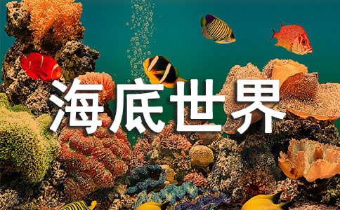 ���P(gu��n)���������硷���Z(y��)�Ľ̌W(xu��)��˼