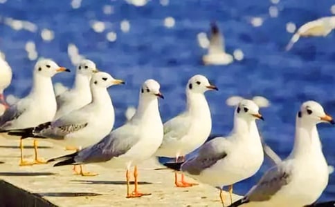 �Ї�ͯԒ���£����t����
