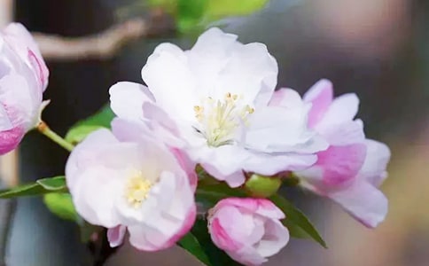 ������ӛ������ĺ���