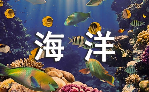 ��Ȫ�Ǻ���O������
