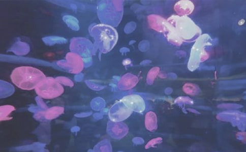 �κ��󹫈@С�W(xu��)���꼉(j��)����