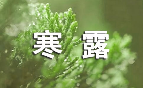 �茑��¶���V�Z