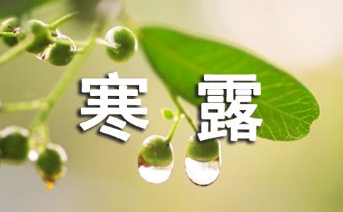 �P�ں�¶���V�Z