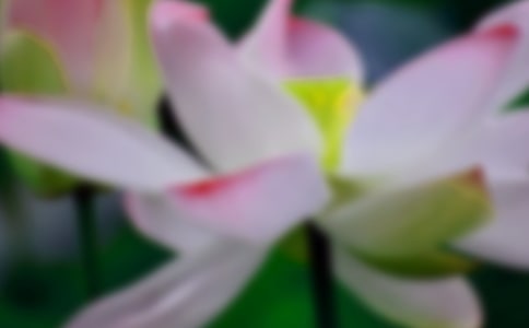 ���؂䣩�茑�ɻ��Ĺ�Ԋ�~